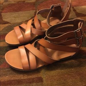 Gladiator Sandal in Cognac 12W